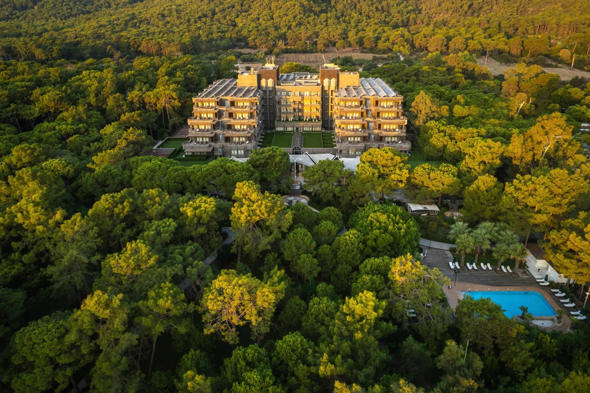 Balmy Foresta เบลดิบี ภายนอก รูปภาพ