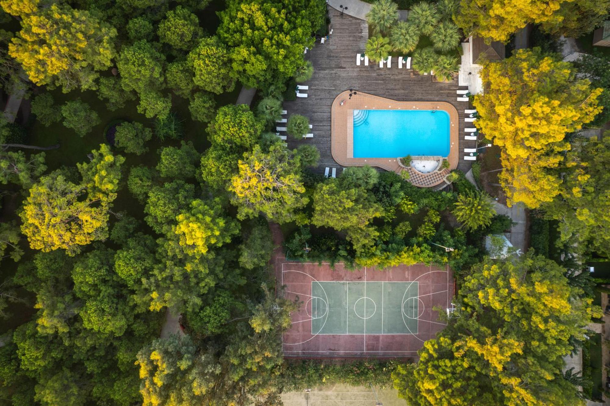 Balmy Foresta เบลดิบี ภายนอก รูปภาพ